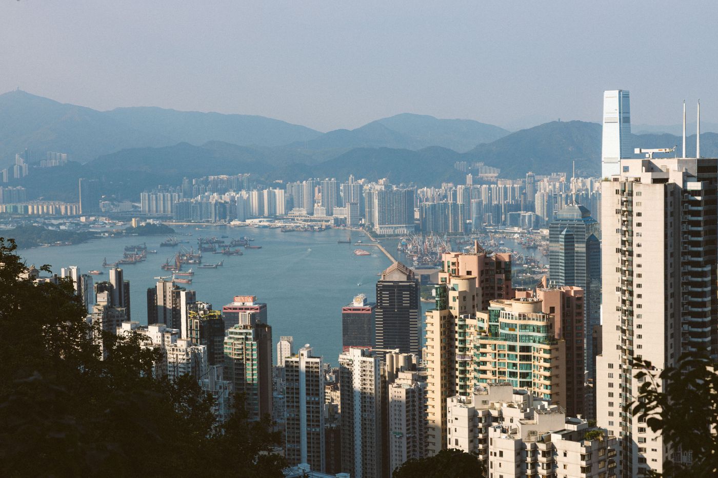 香港城市建築，連接本地企業的科技需要
